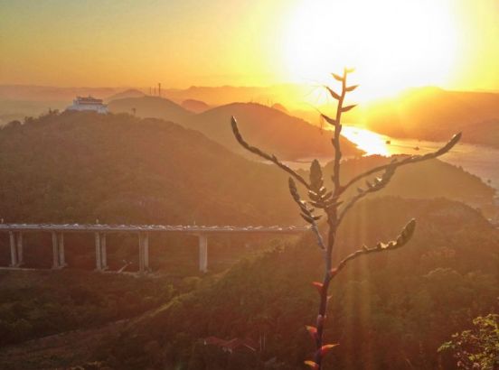 Trilha Morro do Moreno - Vila Velha - 2:30 horas