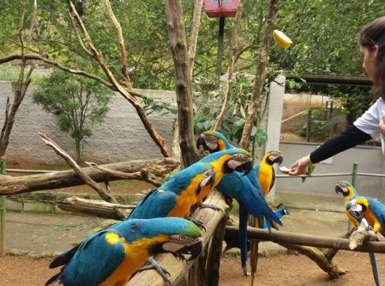 Zoo Park da Montanha + Vila da Páscoa