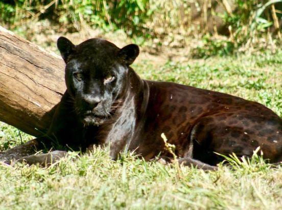 Zoo Park da Montanha + Vila da Páscoa