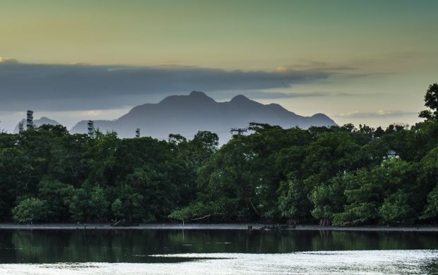 Manguezal e o Monte Mestre Álvaro, uma bela combinação - Por Alexandre Ramos Ricardo (Obra do próprio)